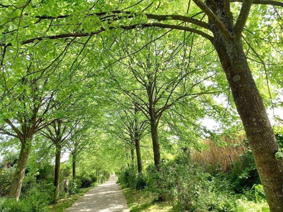 Le Domaine Reserve , Parking Et Ecrin De Verdure Amiens Exterior photo